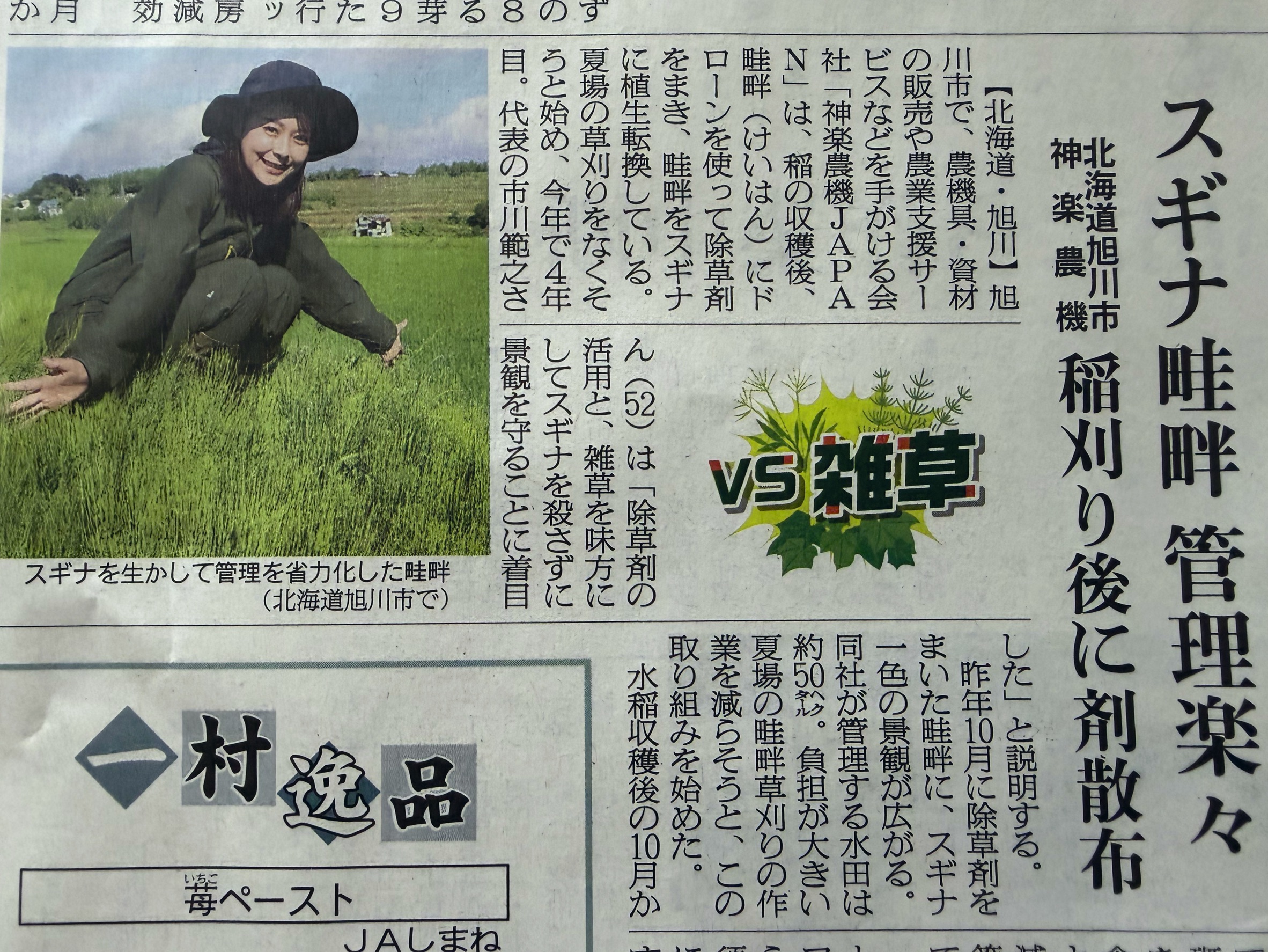 2026年7月23日付 農業新聞全国版に掲載されたスギナ畦畔の記事
